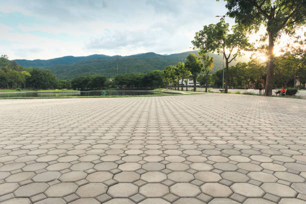 Best Professional Driveway Pavers  in Wayne, WV